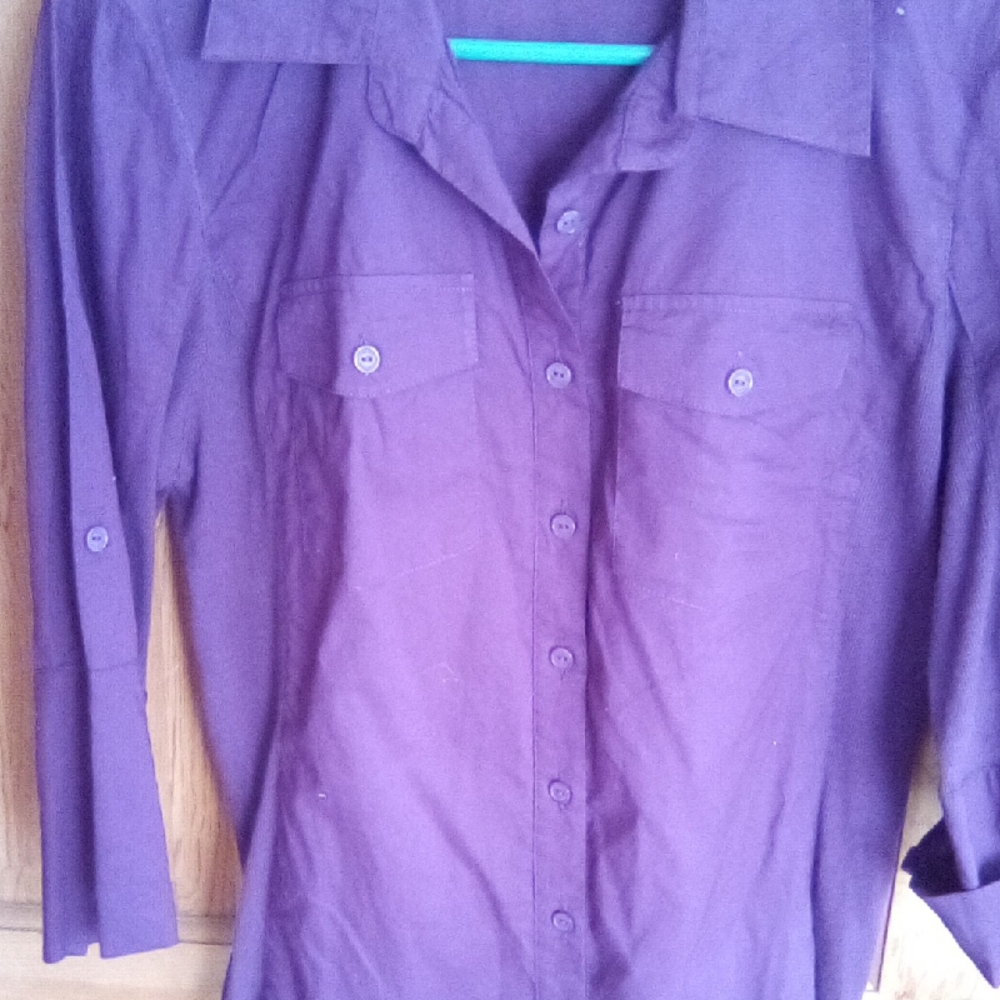 Naked Zebra Deep Purple Button-Up Blouse